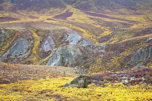 Alpská Tundra Podzim Teritoriální Park Tombstone Yukon Kanada — Stock fotografie