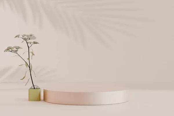 Ausstellungspodium Stand Auf Pastellfarbenem Licht Architektonischer Hintergrund Für Premium Produkt — Stockfoto