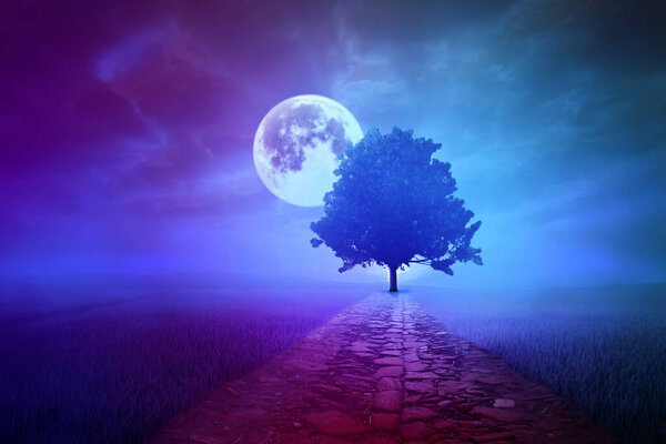 Environment concept, single tree land with smoke and fog. Ultraviolet color.