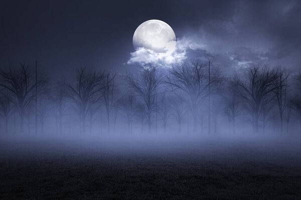 Foggy night landscape with moon