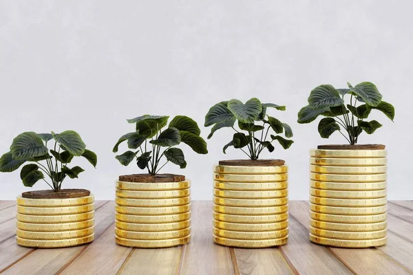 plant growth in coins with money coins on white background. saving money.