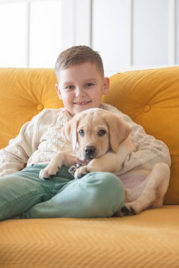 A boy in a knitted sweater poses on a yellow sofa with his Labrador puppy