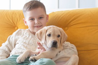 A boy in a knitted sweater poses on a yellow sofa with his Labrador puppy