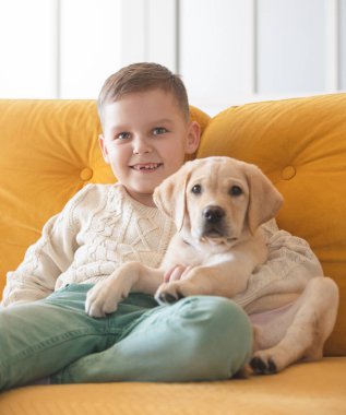 A boy in a knitted sweater poses on a yellow sofa with his Labrador puppy