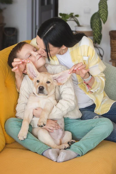 Boy Knitted Sweater Poses Yellow Sofa His Mom Labrador Puppy — Stok fotoğraf