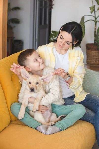 Boy Knitted Sweater Poses Yellow Sofa His Mom Labrador Puppy — Stok fotoğraf