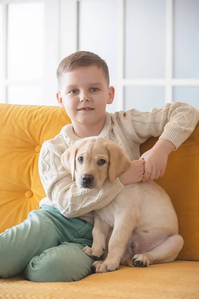 Niño Suéter Punto Posa Sofá Amarillo Con Cachorro Labrador —  Fotos de Stock