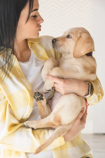 Sahibinin Kollarında Sarı Ekose Gömlekli Küçük Bir Labrador Köpeği — Stok fotoğraf