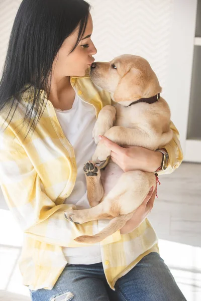 Small Labrador Puppy Arms His Owner Yellow Plaid Shirt — Stok fotoğraf