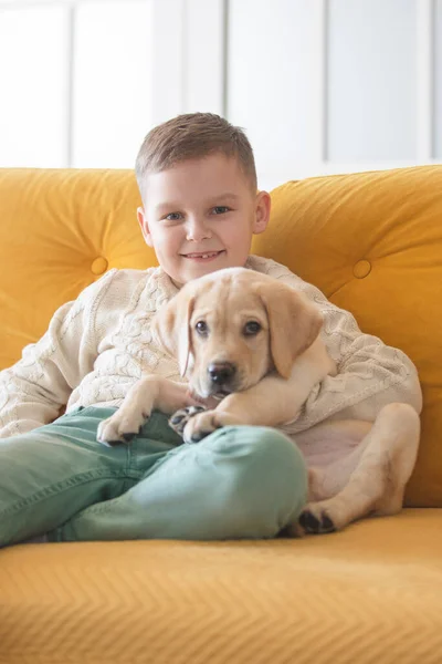 Boy Knitted Sweater Poses Yellow Sofa His Labrador Puppy Stockbild