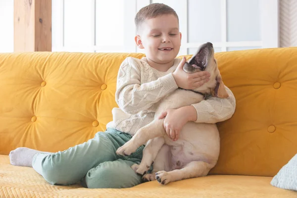 Boy Knitted Sweater Poses Yellow Sofa His Labrador Puppy ロイヤリティフリーのストック写真