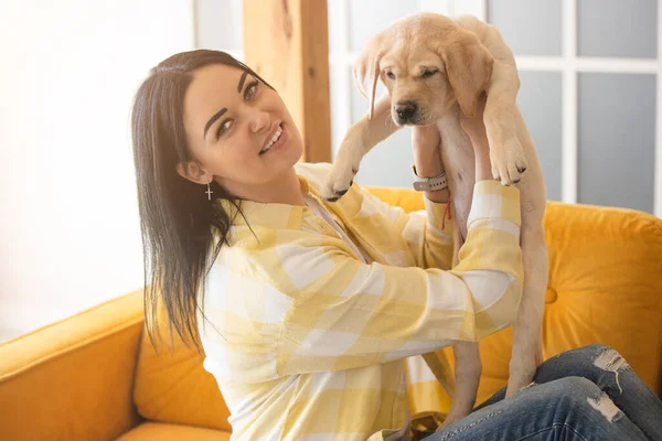 노란색 격자무늬 셔츠를 주인의 래브라도 강아지 스톡 사진