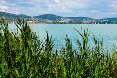 Yazın Tihany 'de Balaton Gölü manzarası