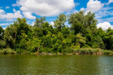 Tisza nehrinin durgun sularındaki galeri ormanı manzarası