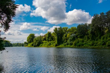 Martly 'deki Tisza Nehri' nde galeri ormanı var.