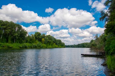 Martly 'deki Tisza Nehri' nde galeri ormanı var.