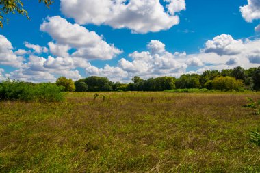 Eylül 'de Tisza yakınlarında Martly' de tarla ve ağaçlar