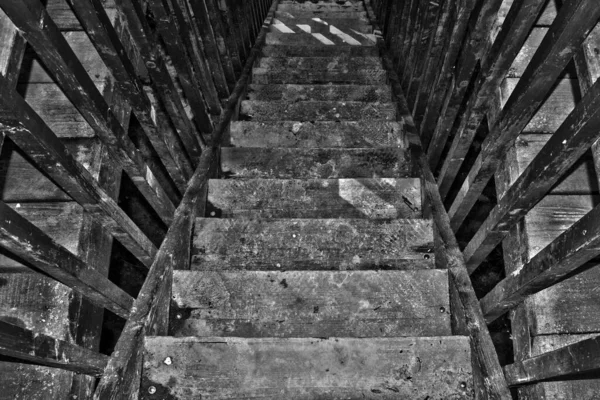 Escadaria Madeira Uma Torre Vigia Uma Floresta — Fotografia de Stock