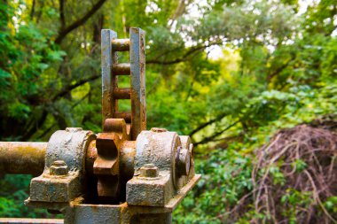 Martly 'deki eski paslı baraj teçhizatı, Tisza nehrinin yanında.