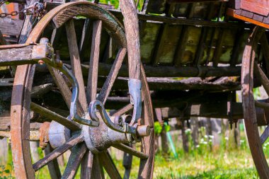 Botanik bahçesindeki ahşap bir arabanın tekerleği.