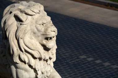 Buda Şatosu Çarşısında taş aslan heykeli ve yol