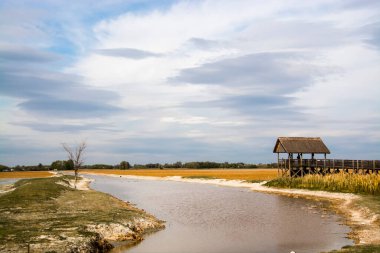 Su Bufalosu Rezervindeki Bataklık Bölgesi