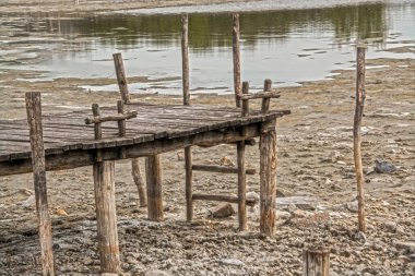 Morahalom Bufalo Koruma Alanında Çamurlu Bataklık