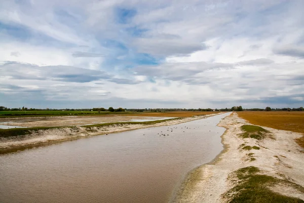 Su Bufalosu Rezervindeki Bataklık Bölgesi
