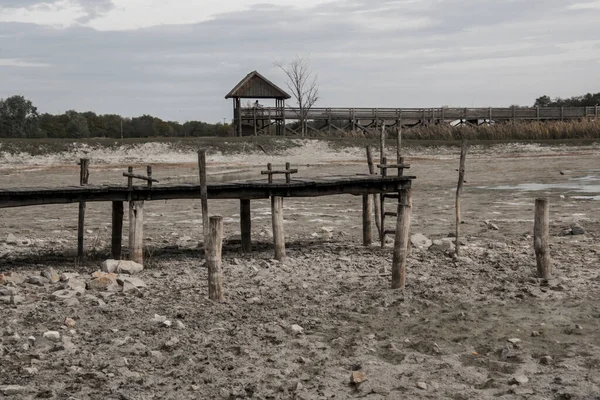 Morahalom Bufalo Koruma Alanında Çamurlu Bataklık