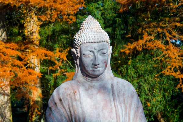 Buddha Vagy Siddhartha Gautama Szobra Egy Tóban Ősszel — Stock Fotó