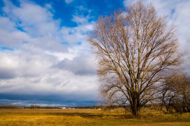 Macaristan, Budapeşte 'deki Ferihegy Havalimanı üzerindeki ağaç ve bulutlar