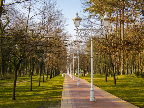 Парк Паличе Сербии Начале Марта — стоковое фото