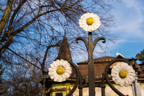 Железные Цветы Заборе Сада Паличе Сербия — стоковое фото