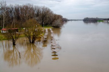 Mart 'ta Szeged' deki Tisza Nehri 'nin taşmış plajı