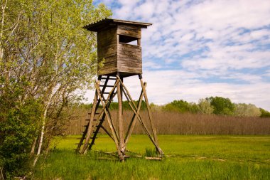 İlkbaharda Pest ilçesindeki Potharaszti ormanının yakınındaki av kulesi.