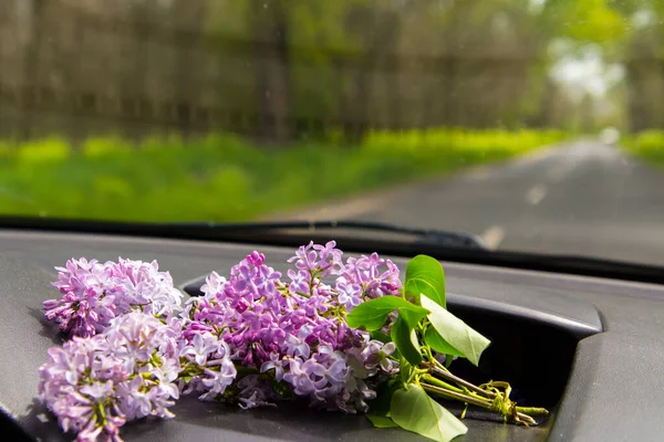 Common Lilac Board Car — Stock Photo, Image