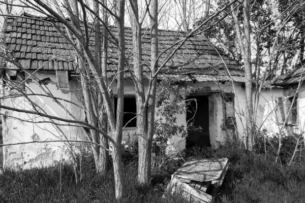 Ancien Homestead Ruine Dans Sud Hongrie Près Morahalom — Photo