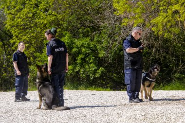 SZEGED, HUNGARY - 23 NİSAN. 2023: Szeged Hayvanat Bahçesi Polis ve İtfaiye Teşkilatı 'nda köpek gösterisi