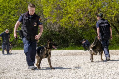 SZEGED, HUNGARY - 23 NİSAN. 2023: Szeged Hayvanat Bahçesi Polis ve İtfaiye Teşkilatı 'nda köpek gösterisi