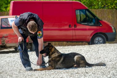 SZEGED, HUNGARY - 23 NİSAN. 2023: Szeged Hayvanat Bahçesi Polis ve İtfaiye Teşkilatı 'nda köpek gösterisi