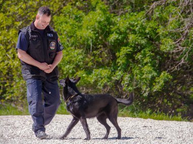 SZEGED, HUNGARY - 23 NİSAN. 2023: Szeged Hayvanat Bahçesi Polis ve İtfaiye Teşkilatı 'nda köpek gösterisi