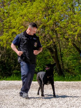 SZEGED, HUNGARY - 23 NİSAN. 2023: Szeged Hayvanat Bahçesi Polis ve İtfaiye Teşkilatı 'nda köpek gösterisi
