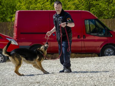 SZEGED, HUNGARY - 23 NİSAN. 2023: Szeged Hayvanat Bahçesi Polis ve İtfaiye Teşkilatı 'nda köpek gösterisi