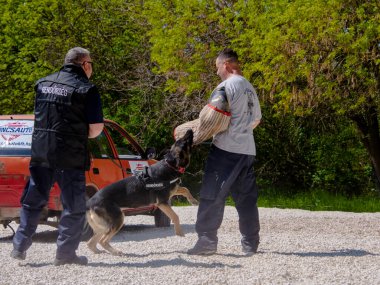 SZEGED, HUNGARY - 23 NİSAN. 2023: Szeged Hayvanat Bahçesi Polis ve İtfaiye Teşkilatı 'nda köpek gösterisi