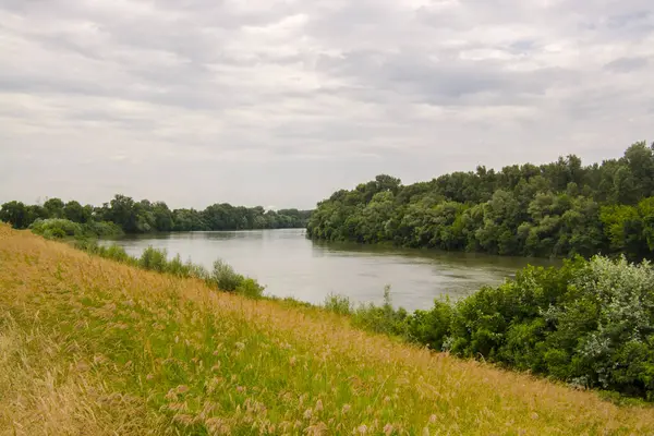 Güney Hungay, Algyo yakınlarındaki Tisza nehri.