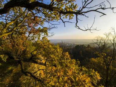 Kasım ayında Budapeşte yakınlarındaki Macar Ordog-orom 'da Şeytanın Zirvesindeki Ağaçlar