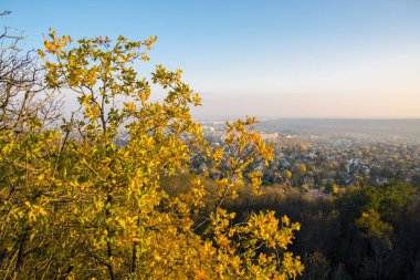 Kasım ayında Budapeşte yakınlarındaki Macar Ordog-orom 'unda şeytanın zirvesi.