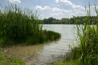 Szeged, Dunaujvaros 'taki Szalki Adası plajı.