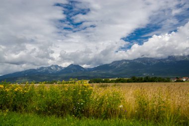 Tatra Dağlarının Yazın Slovakya 'daki manzarası