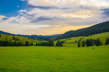 Slovakya 'da bir dinlenme bölgesinde Telgart Puste Pole' un manzarası
